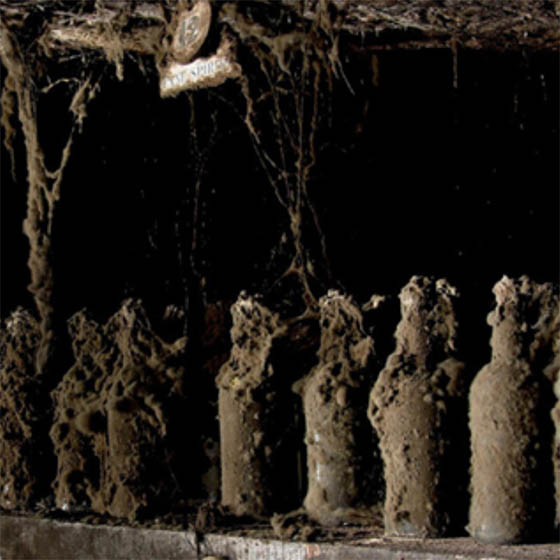 Világrekord összeg a legöregebb rumért